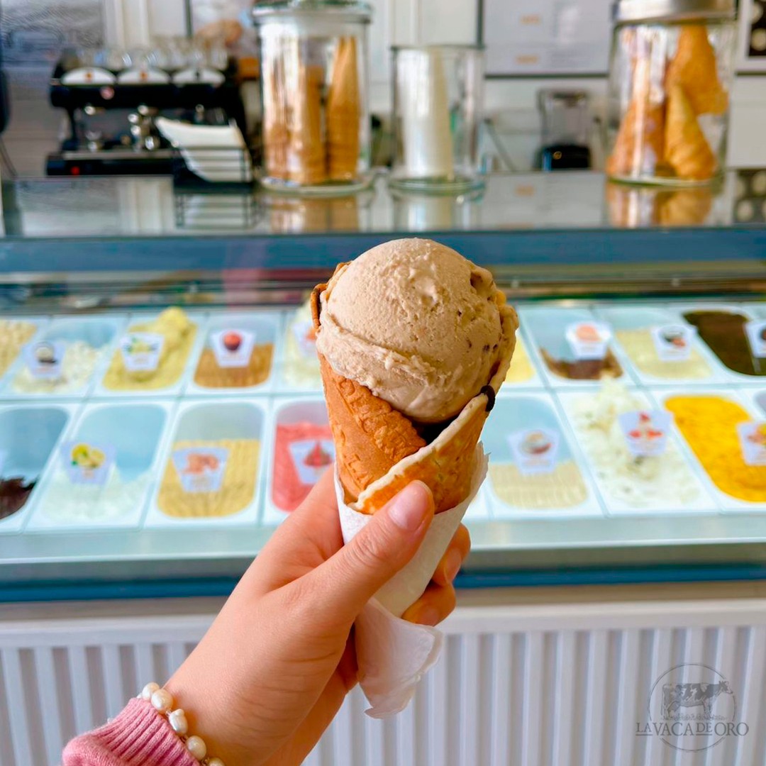 491998343_1235948675204877_6023777309031583406_n