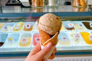 491998343_1235948675204877_6023777309031583406_n