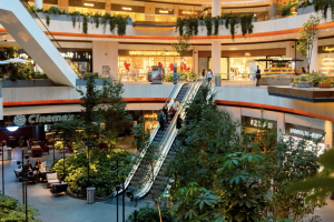 Captura de pantalla 2026-02-24 a las 2.02.47 p.m.