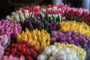 Captura de pantalla 2026-02-24 a las 4.41.21 p.m.