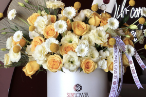 Captura de pantalla 2026-03-17 a las 10.57.44 a. m.