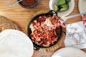 el-rincon-lechuza-destacada